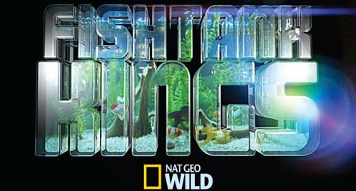 Fish Tank Kings Gets New Season with National Geographic