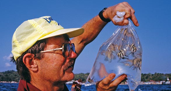 Banggai Rescue Project: A Biologist’s Perspective