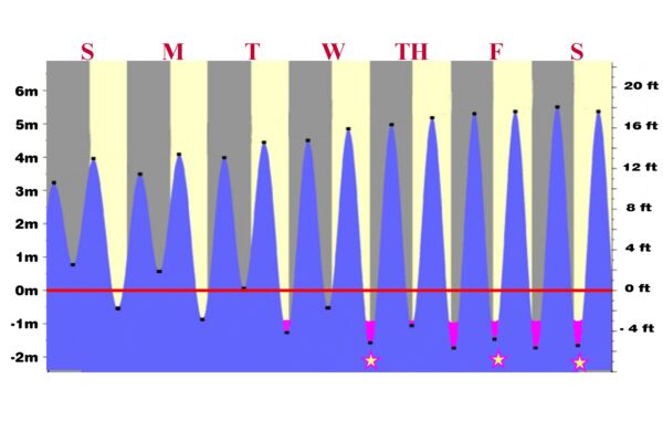 An Example of the tidal fluctuation at Homer, Alaska.