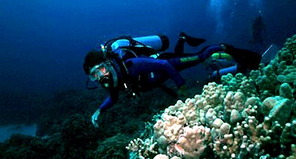 Washington State University marine ecologist Brian Tissot, seen here surveying a coral reef, is lead author of a paper in Marine Policy asserting that US reforms can make the trade in corals and their fish more responsible, ecologically sustainable and humane.
