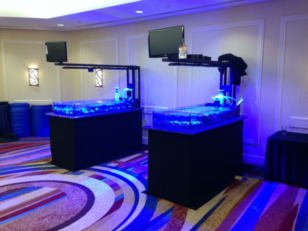 Twin coral displays with LED Lighting and Video Displays are a trademark of High Def Corals - image by Paul Whitby