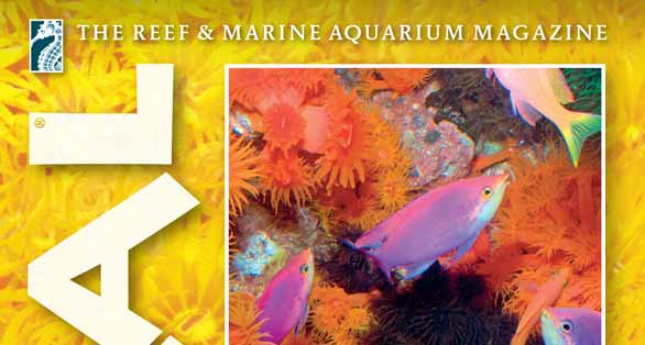 CORAL Magazine Table of Contents Mar/Apr 2014
