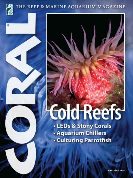 Click cover to order this back issue for your CORAL collection.