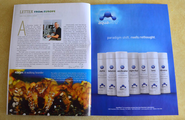 Daniel Knop's letter from Europe.
