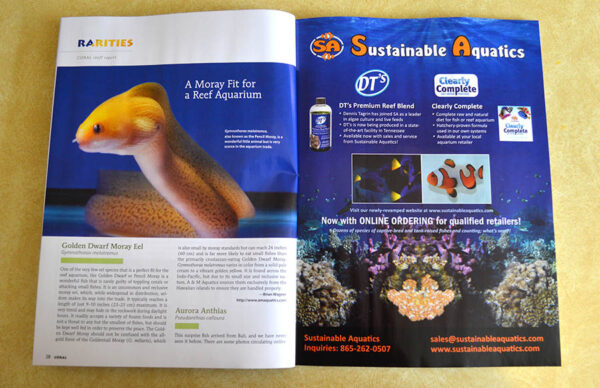 Our Rarities column features fish and coral highlights from industry professionals.