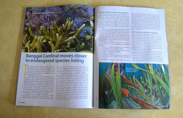 Coral Magazine editor Ret Talbot closes out this issue, going in-depth on the news that the Banggai Cardinalfish may be listed under the Endangered Species Act (ESA). A story every aquarist needs to read and understand. We've been providing coverage of this issue on our website, www.Reef2Rainforest.com. You may wish to read more here - http://www.reef2rainforest.com/2014/03/31/banggai-cardinal-moves-closer-to-endangered-species-listing/