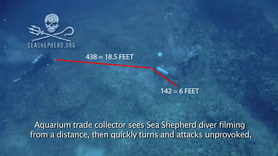 Based on informal, amatuer analysis of video footage released by Sea Shepard, CORAL Magazine editor Matt Pedersen believes Umberger may have approached to within roughly 18.5 feet of the fishermen. Umberger continues to drift towards them by the time Lovell reacts and rushes Umberger.