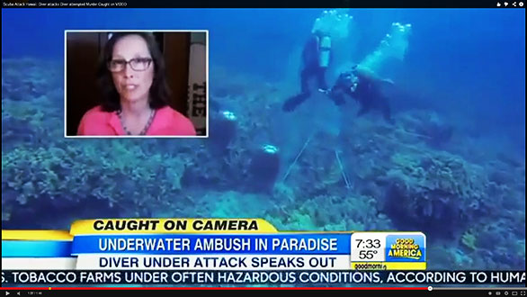 Outcome of Hawaii Diver Altercation