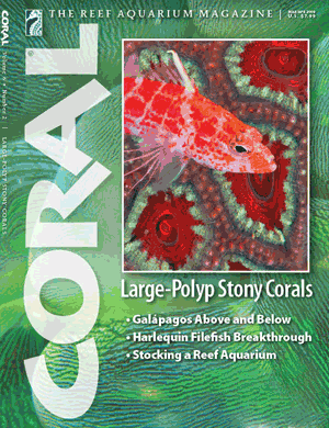CORAL Magazine March/April 2009