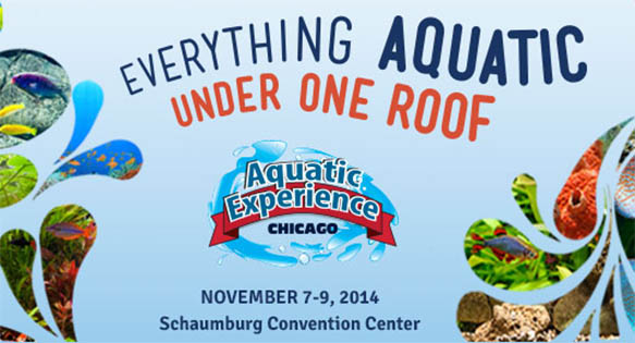 The Aquatic Experience, November 7-9, 2014