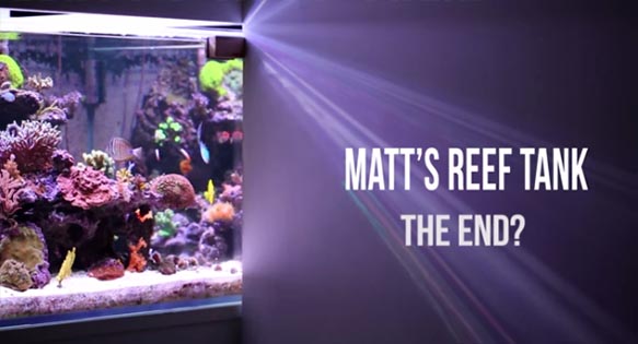 Matt’s Reef Tank Video Series – It’s Back!