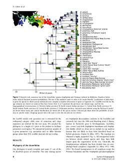 A thumbnail view of the 2014 phylogenenic consensus tree from Litsios et. al., which covered more species and even a few variants of Anemonefishes in their sampling.