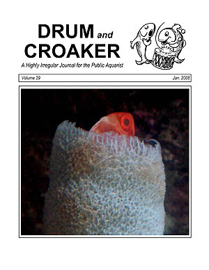 DRUM and CROAKER, 2008