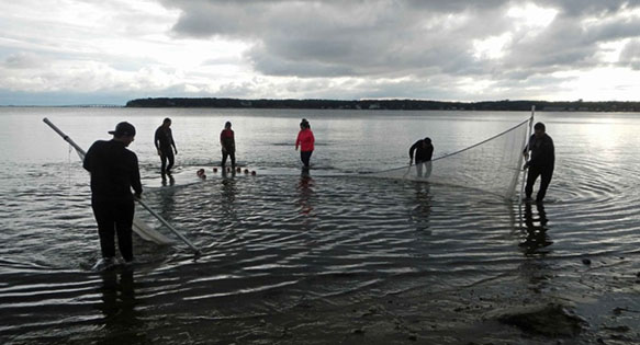 Aquatic-Focused Experiential Learning at the Toledo Zoo