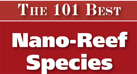 New Book: The 101 Best Nano Reef Species