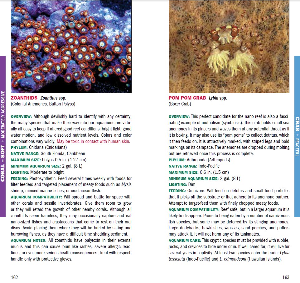 A glimpse at two species entries out of the 101 best nano reef aquarium species examined in this guide.