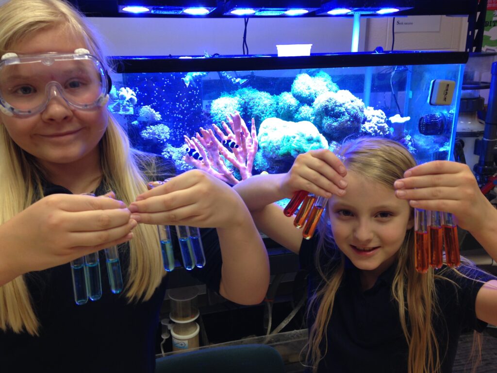 Two female students stand in front of a coral reef tank holding test tubes. One is wearing goggles. The results show that the aquariums have a stable population of nitrifying bacteria and can be stocked with fish.