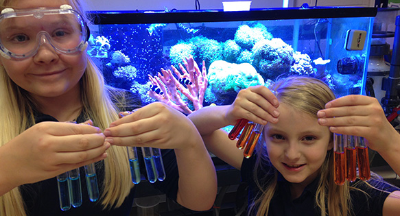 Classroom Aquarium Keeping Empowers Young Students
