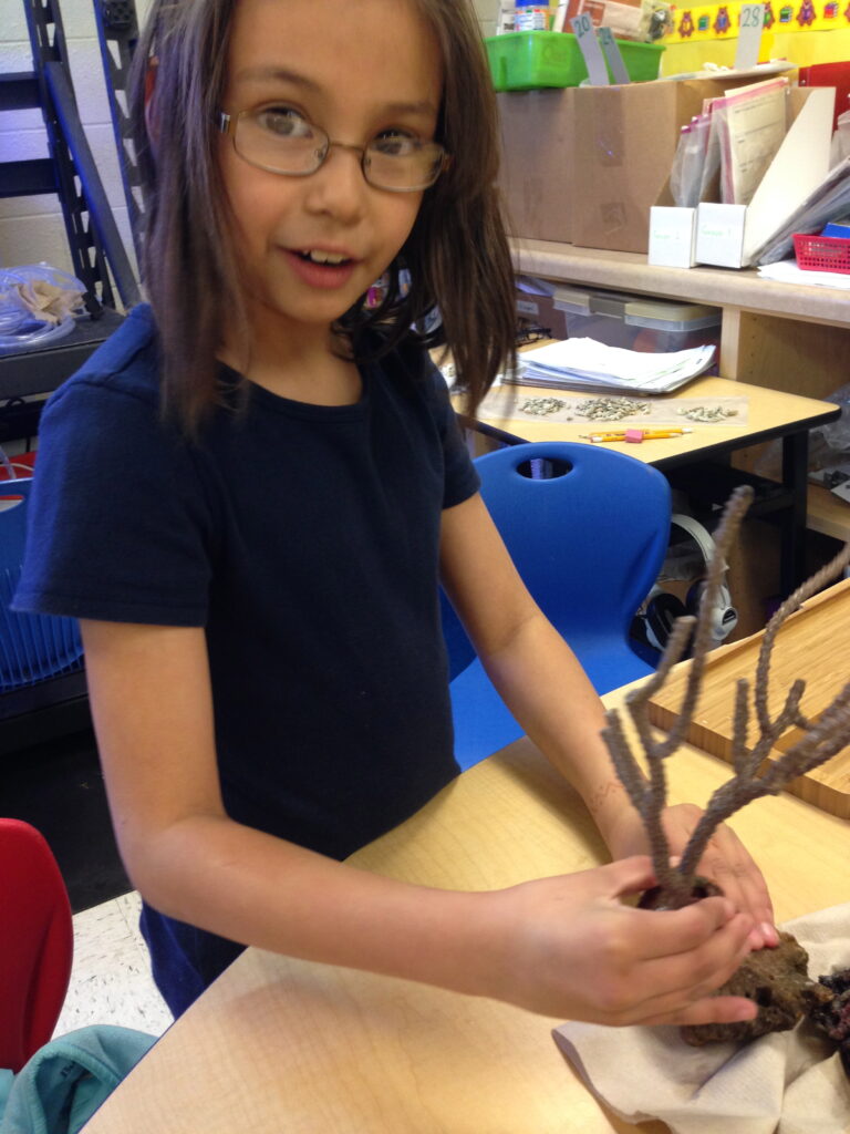 A smiling female student is holding a gorgonian onto a rock as it is being glued in place