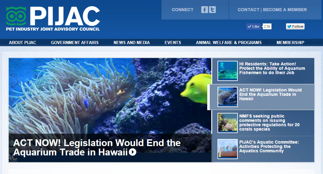 PIJAC issues Action Alert for Hawaii Aquarium Trade