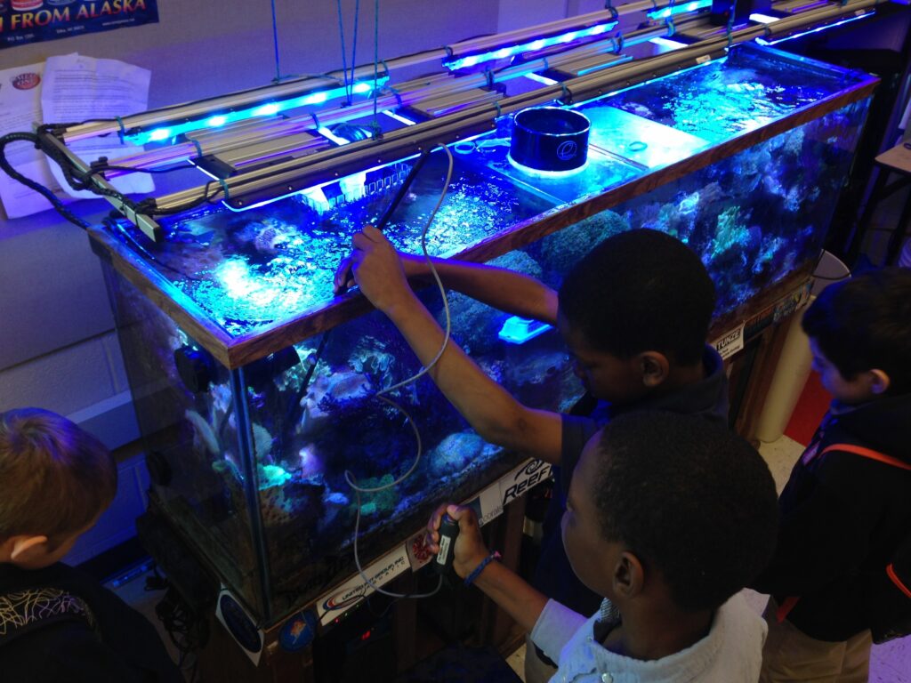 A group of students is standing around a coral reef aquarium. Two male students are using an electric wand to kill unwanted anemones