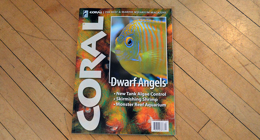 Dwarf Angels – Hard Copy Preview – CORAL Magazine March / April 2015 Issue