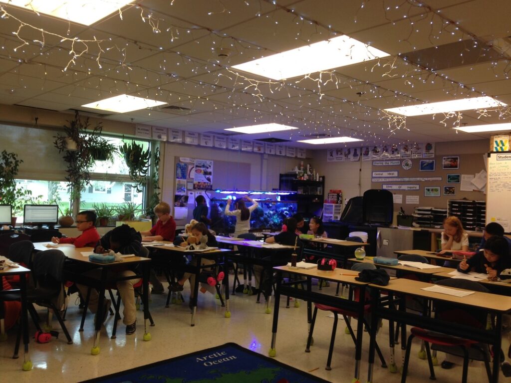 Third grade students are seated at desks working. In the back corner is a large aquarium setup and two students are working on the tank. The students at desks don't appear distracted.