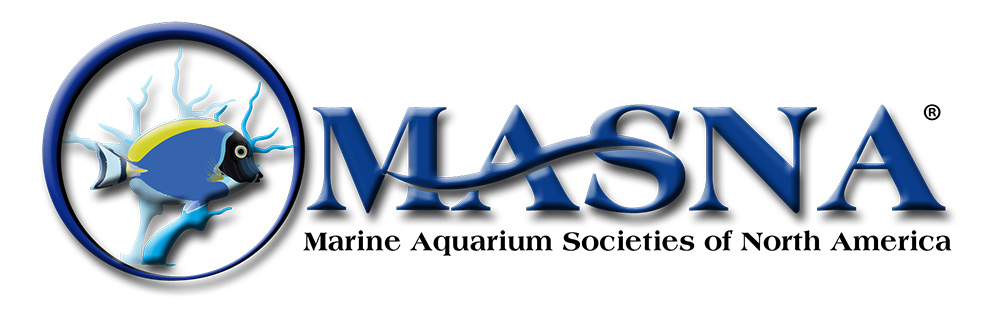 MASNA announces the 2015-2016 Student Scholarships