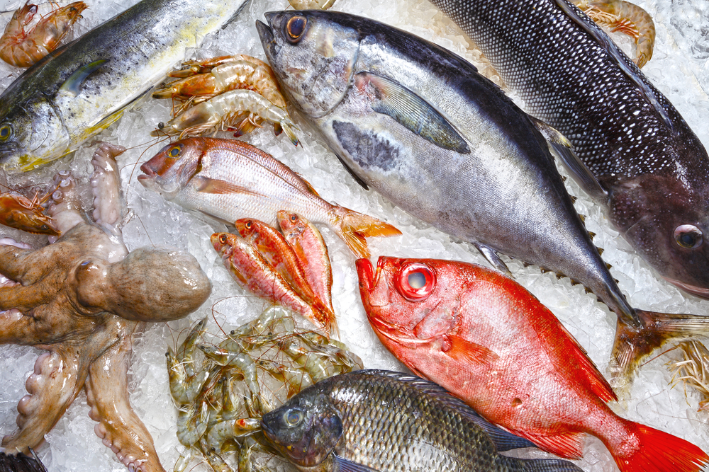 Seafood is one of the base ingredients in complete frozen fish food blends. Allegations of extremely high mercury levels raised questions. Certified testing has now addressed these concerns. Image Credit: Shutterstock