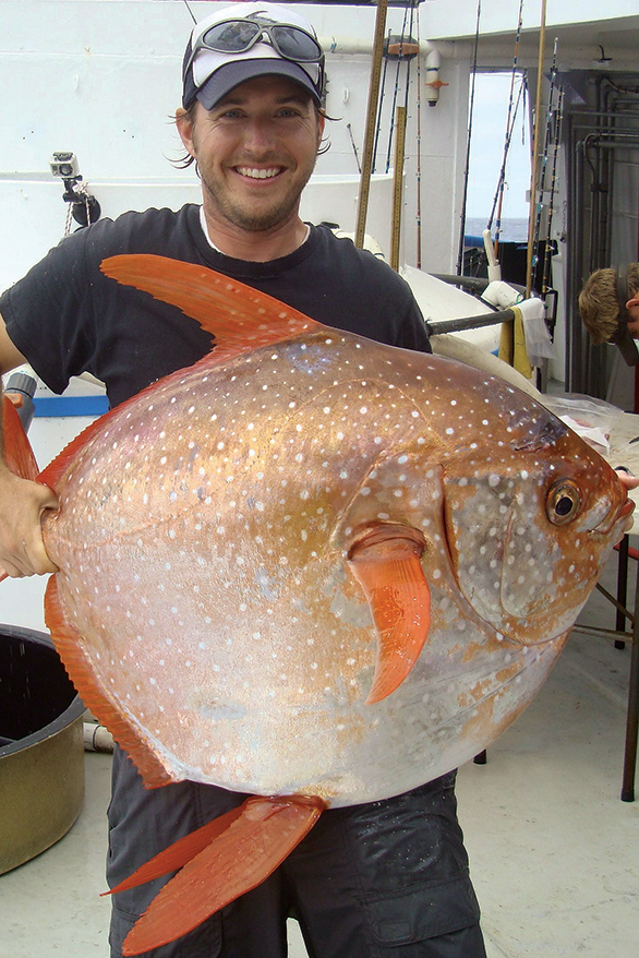 NOAA researcher Dr. Nicolas Wegner with large Opah caught off the coast of southern California. Image: NOAA