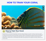 Train-your-coral-150-px