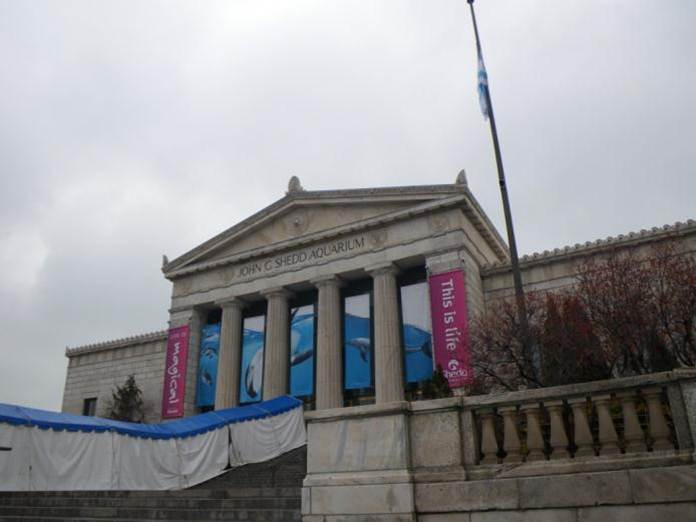 John G. Shedd Aquarium – Chicago