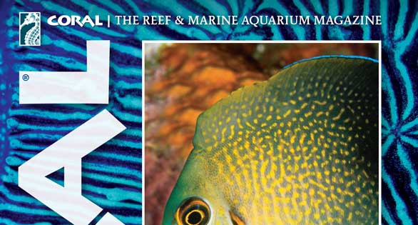 CORAL Magazine Table of Contents Jul/Aug 2015