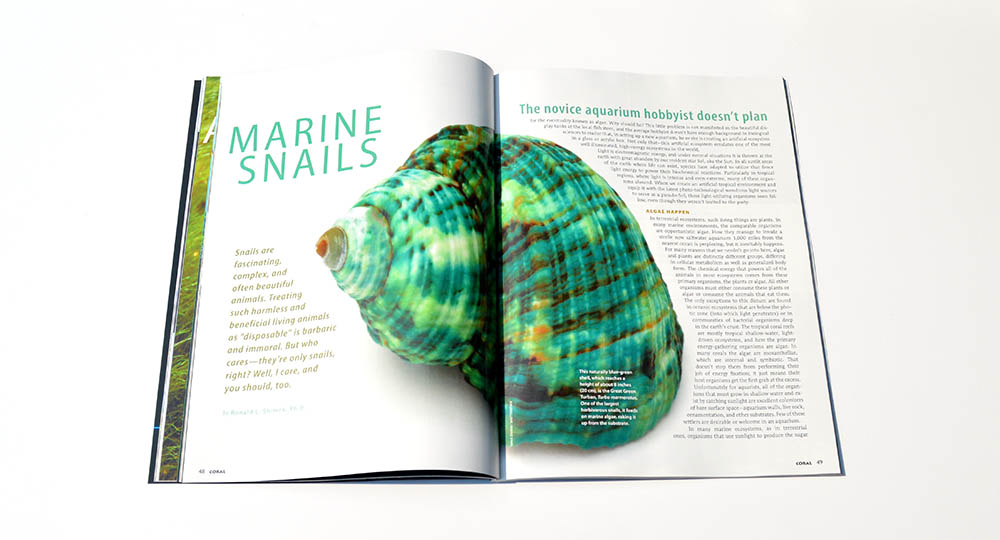 algae grazers Archives - CORAL Magazine