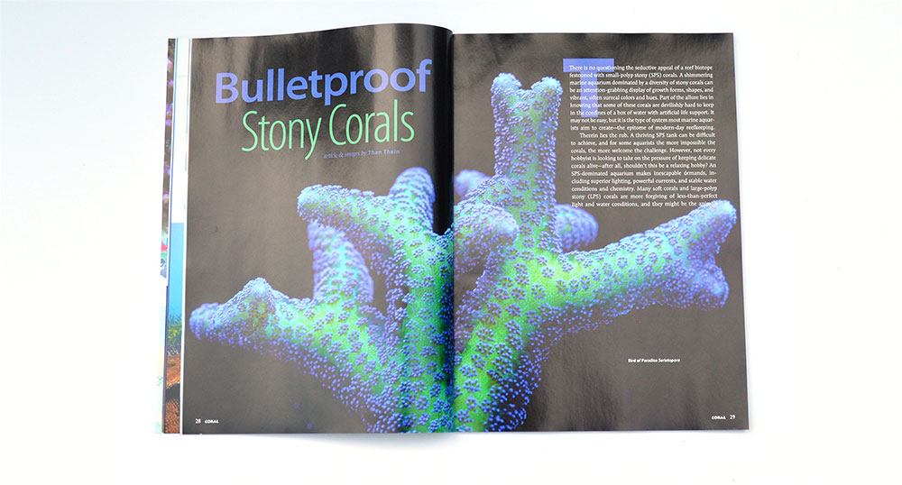 Print Preview – BULLETPROOF CORALS – CORAL Magazine Sept/Oct 2015