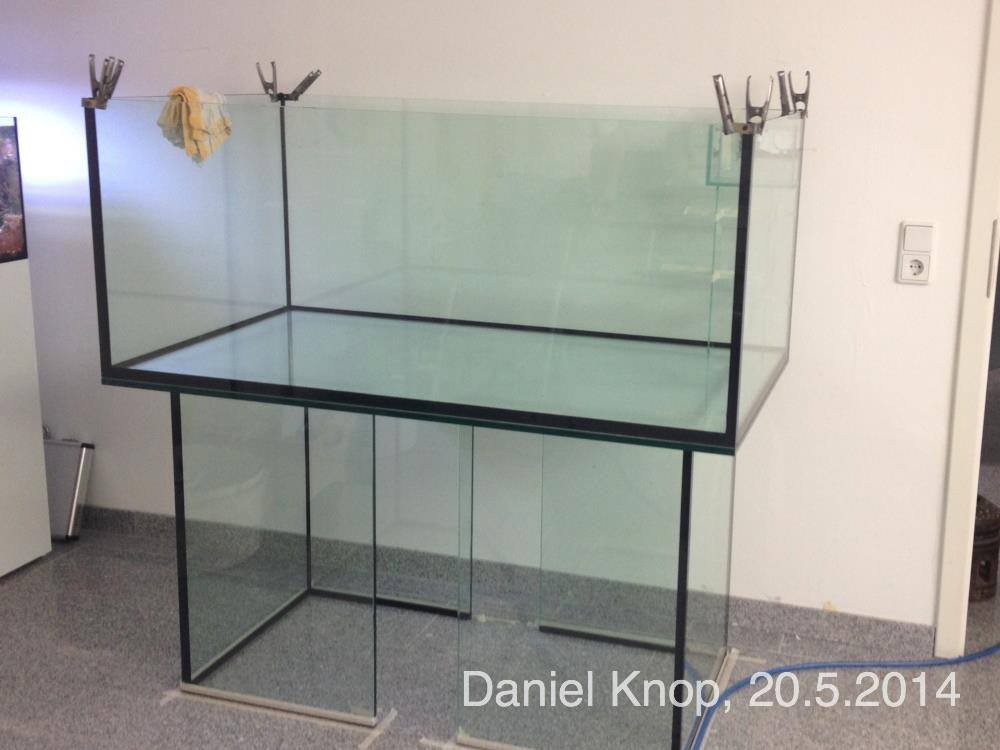 The glass foundation for Knop's reef, May 20th, 2014.