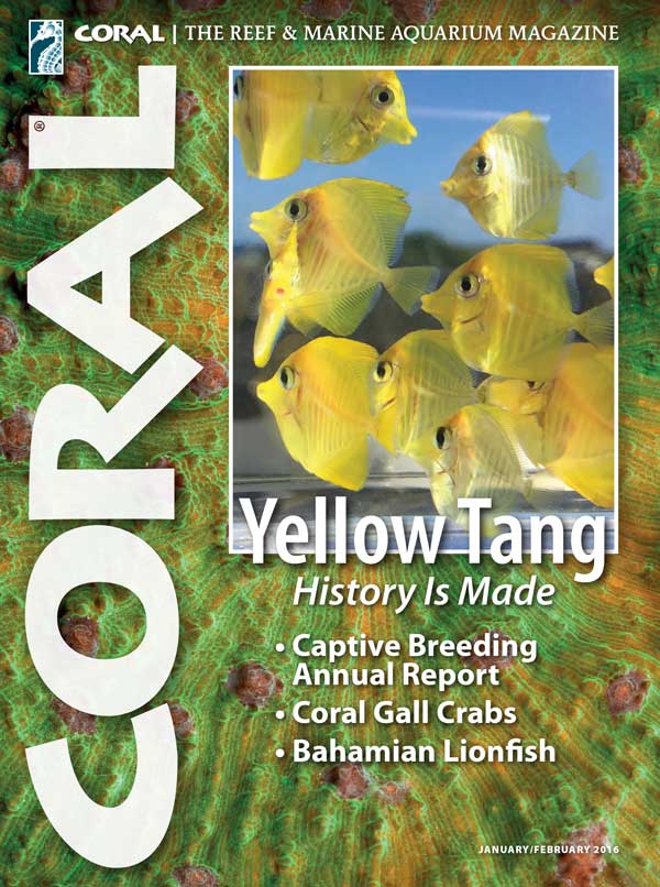 Click cover to order this back issue for your CORAL collection.