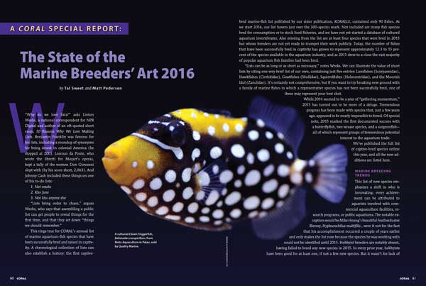 It was a Big Year in Marine Breeding, including Clown Triggers from Palau, as reported by Tal Sweet and Matt Pedersen.