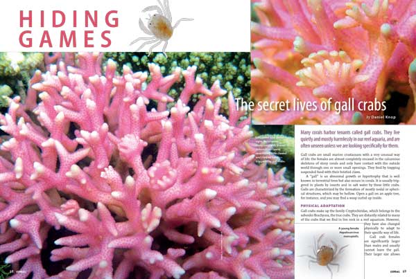 Gall parasites are common in weedy terrestrial plants and trees—and perhaps in your aquarium corals, as Daniel Knop vividly shows in a must-read article.