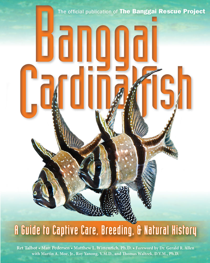 Banggai Cardinalfish, the book from Ret Talbot, Matt Pedersen and Dr. Matthew L. Wittenrich, investigating the past, present and future of this iconic and troubled aquarium fish.