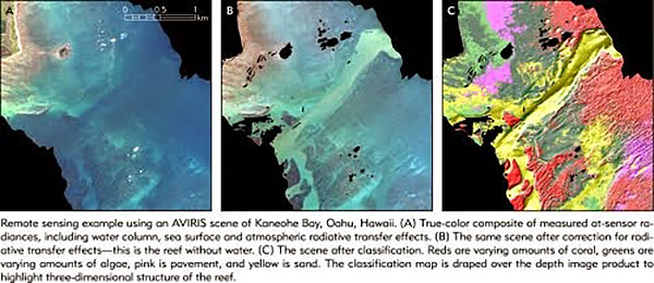 A section of Kaneohe Bay, Hawaii, from Hochberg's work. In processed image at right, live coral shows as red, algal growth as green, sand as yellow.
