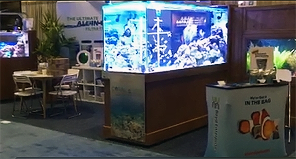 The 500-gallon reef exhibit Boyd Enterprises will present at the Global Show to display aquacultured fishes and corals.
