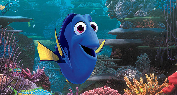 Dory, an animated Pixar/Disney Paracanthurus hepatus, is the star of a forthcoming film appearing in mid-June 2016. Image © Disney/Pixar.