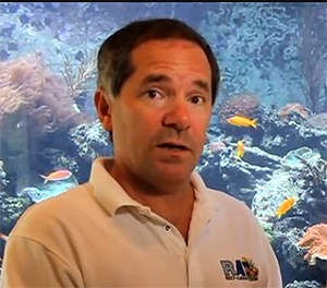 Jeff Turner of Boyd Enterprises, a longtime supporter of marine aquaculture for the aquarium trade. Image: Jon Carlin.