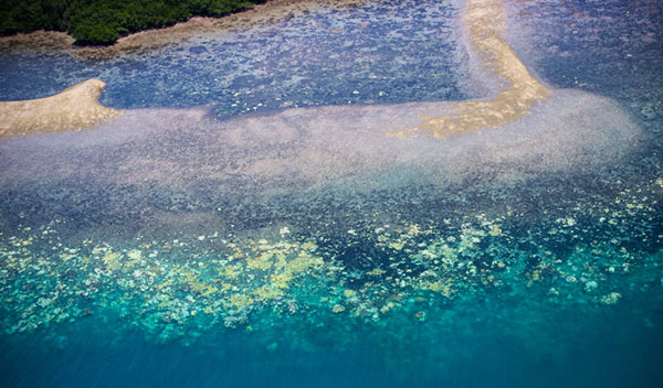 Aerial photography taken by the research group shows extensive bleaching, with white skeletons of stony corals widespread on hundreds of reef areas. 