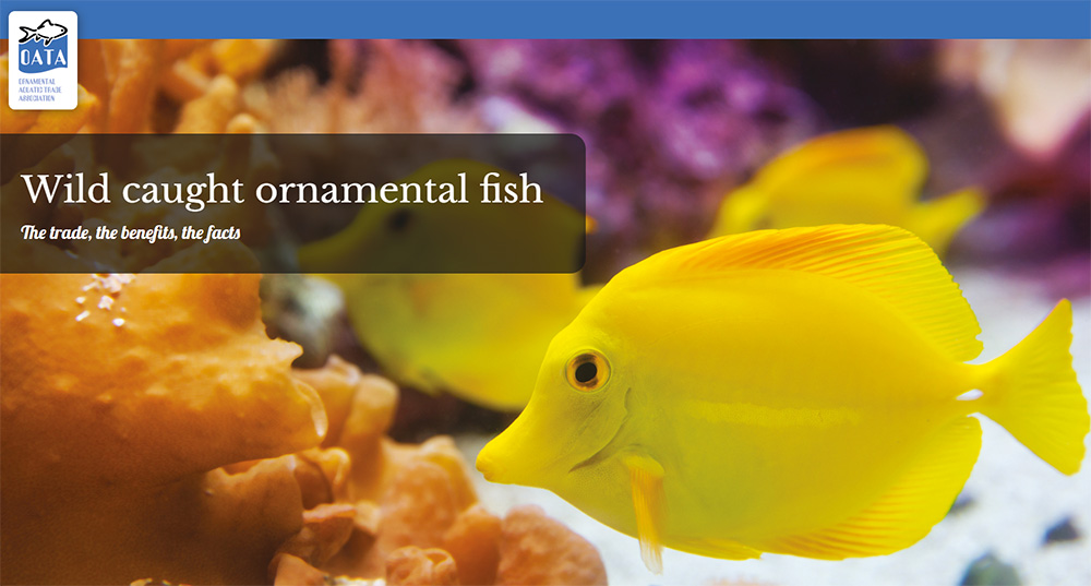 Wild caught ornamental fish: The trade, the benefits, the facts - a new report from OATA