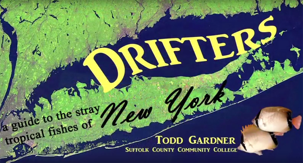 Todd Gardner's "Drifters: a guide to the stray tropical fishes of New York".
