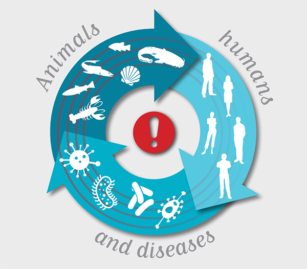 Animals, humans and diseases. OIE, 2015.