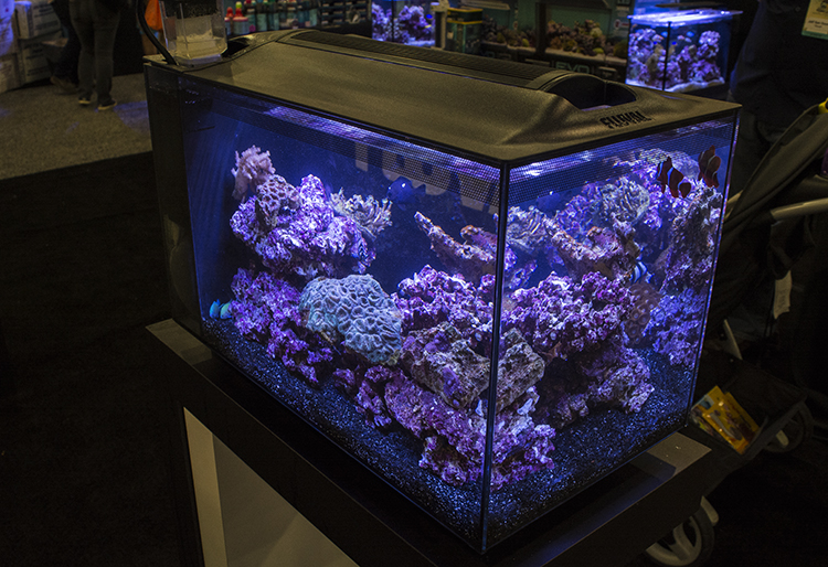 Another sleek all-in-one aquarium at Fluval's booth, the Evo 12
