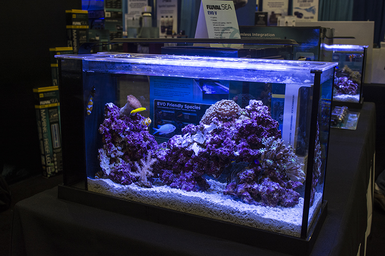 Fluval had a number of attractive nano aquariums on display -- here, the Evo 5